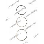 NORDBERG ЗАПЧАСТЬ КОМПЛЕКТ ПОРШНЕВЫХ КОЛЕЦ на один поршень для NCE50/410V NORDBERG ЗАПЧАСТЬ КОМПЛЕКТ ПОРШНЕВЫХ КОЛЕЦ на один поршень для NCE50/410V